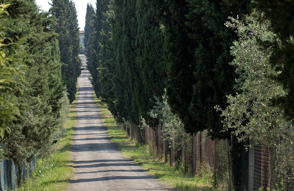Апартаменты Agriturismo Poggio Arioso Скандиччи Экстерьер фото