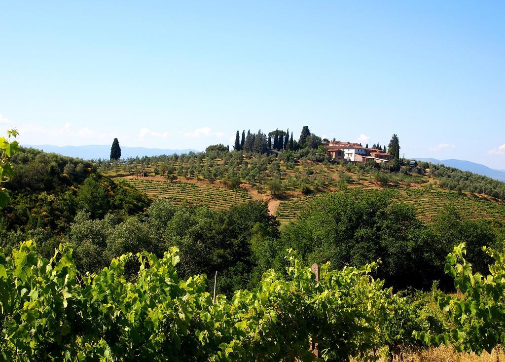 Апартаменты Agriturismo Poggio Arioso Скандиччи Экстерьер фото